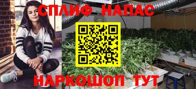 прущая мука Кимры