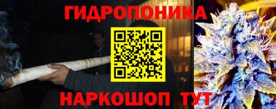 прущая мука Кингисепп
