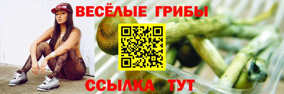 Псилоцибиновые грибы Magic Shrooms Красноярск